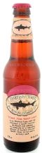 90 Minute IPA