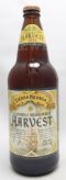 Harvest Ale